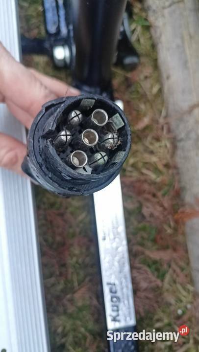 Bagażnik na hak Kugel Germany 3 row 50 st Rybarzowice