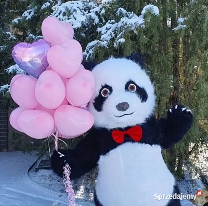 Panda miś kostium dmuchany 25m z BATERIĄ Sochaczew