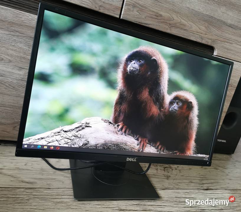 Monitor Dell P2317H 23 IPS FullHD HDMI Jankowice