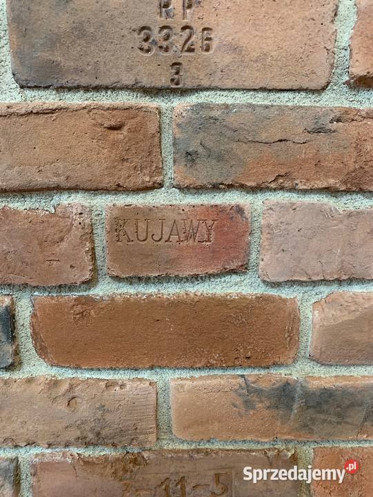 Dekor Lico Kujawskie Kujawy Płytki ścienne mazowieckie Warszawa