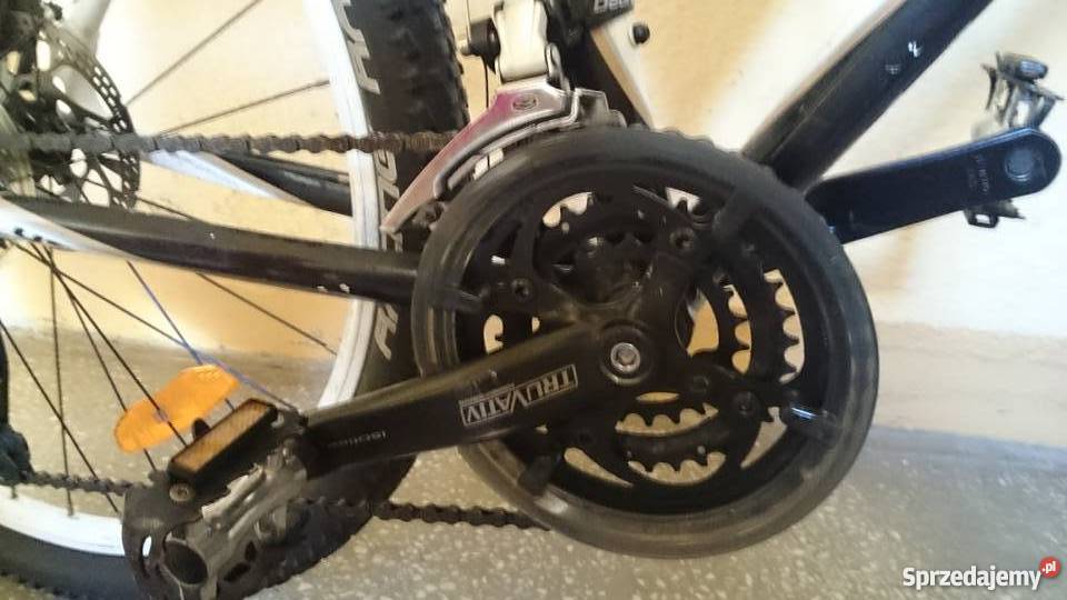 Kellys magnus biały