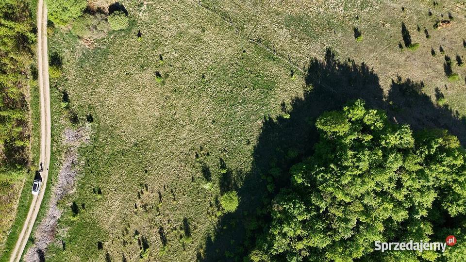 7 działek z wydanymi warunkami Kaszuby Pomorskie budowlana Miastko