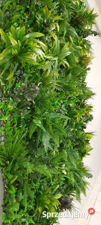 Piękna Dekoracyjna zielona ściana 3d 150x200 Warszawa