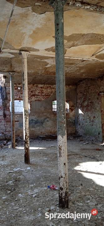 Dwuteownik 16 303236 Pyrzyce sprzedam