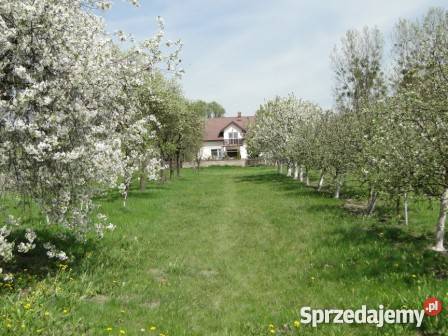 SPRZEDAM SIEDLISKO mazowieckie Podgórze