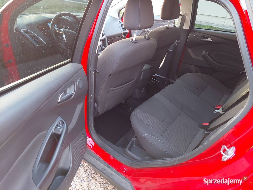 Titanium 163 Focus Zawady