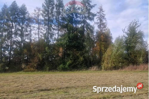 Działka głównej drodze Pruchna