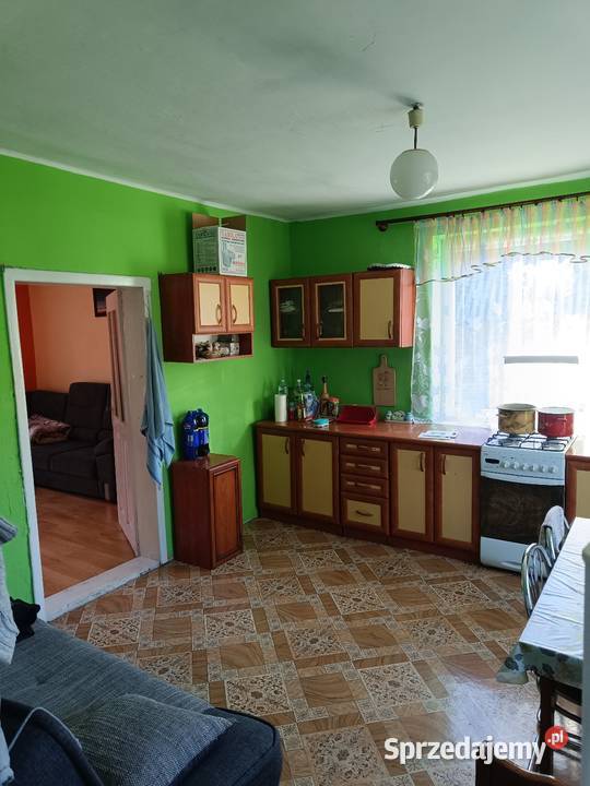 Dom na dużej działce z małym laskiem wolnostojący Lelów