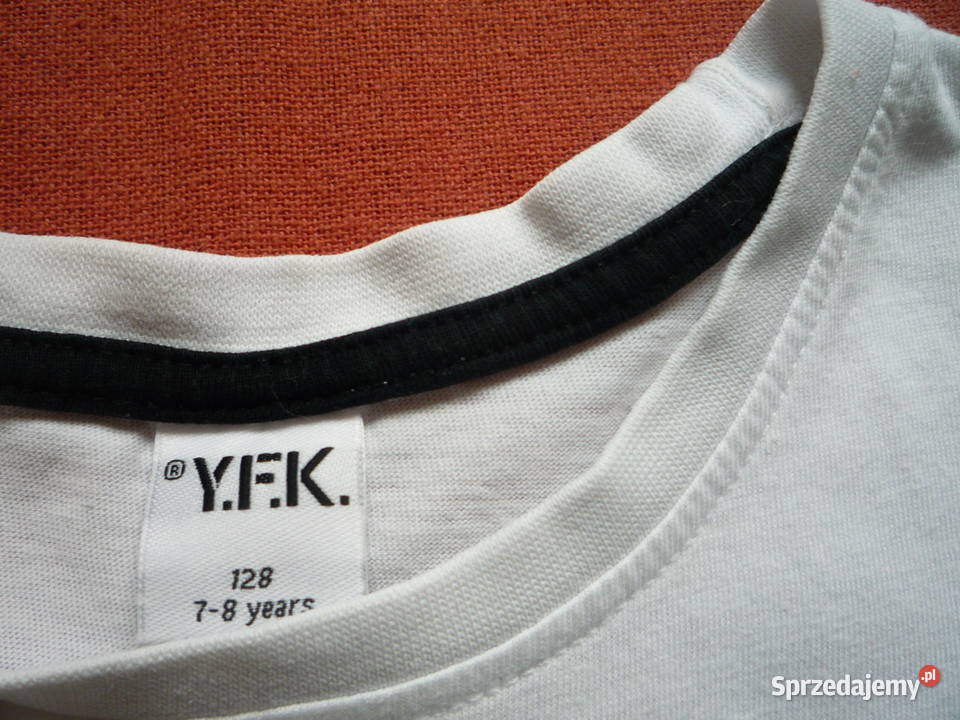 YFK 128 Bluzka Koszulka Tshirt Dinozaur TRex Szczecin