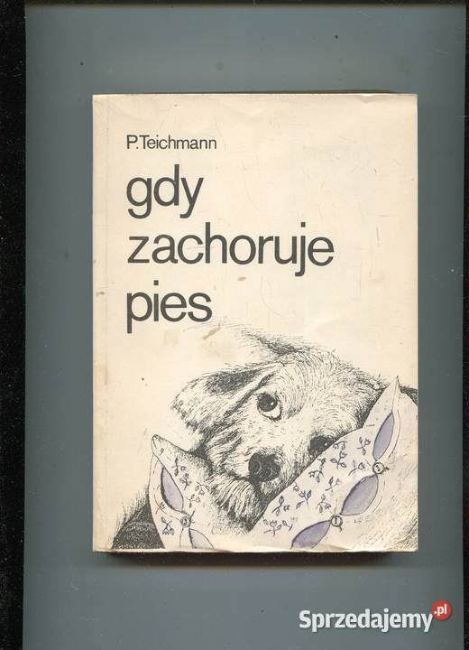 Gdy zachoruje pies Teichmann Szczecin