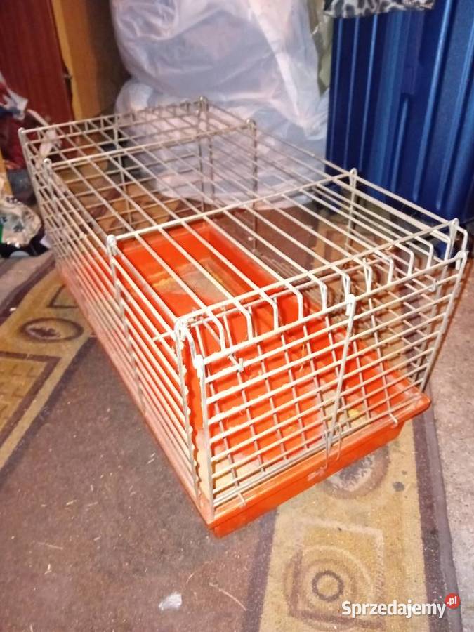 Klatka Świnki morskiej TANIO Nidzica sprzedam
