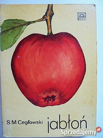 Jabłoń SM Cegłowski fa Goleniów