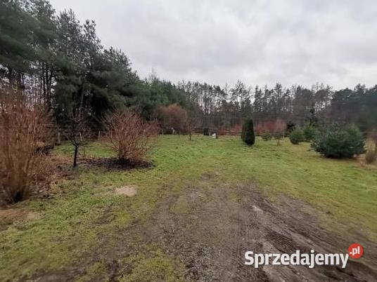 Syndyk sprzeda udział 120 Kozłówka 50 3004m2 lubelskie sprzedam