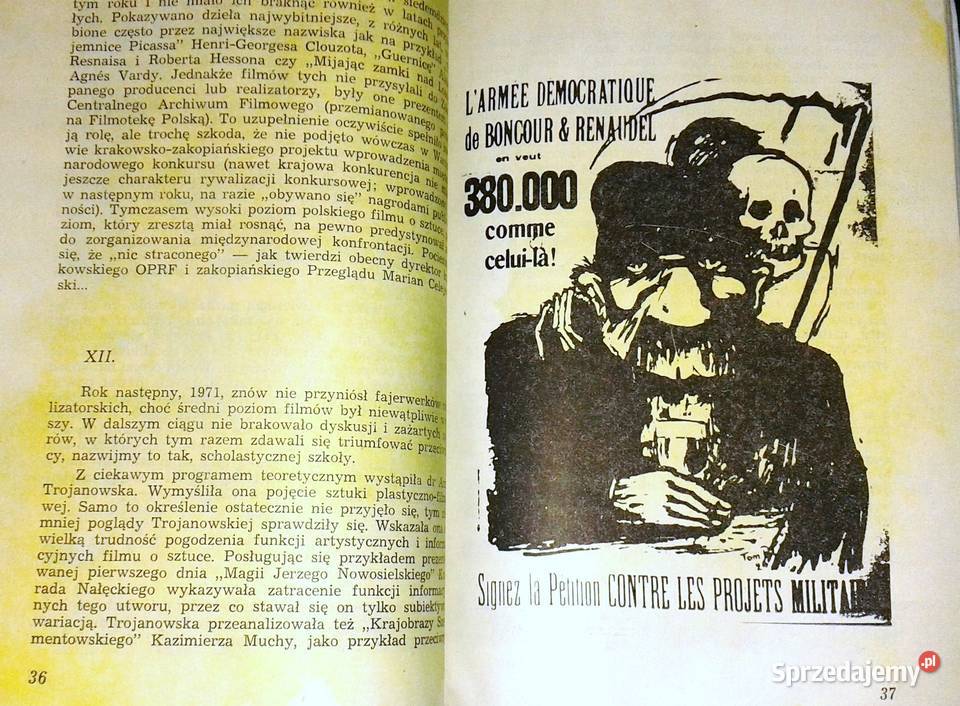 Przygody filmu ze sztuką Barbara Sęczkowska Chełm