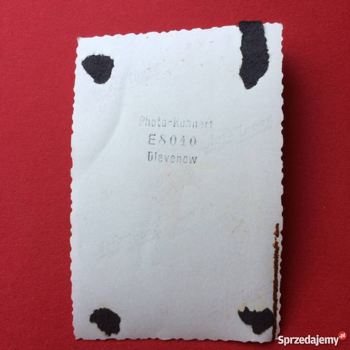 1177 Zakłady Fotograficzne Niemieckiego Szczecin