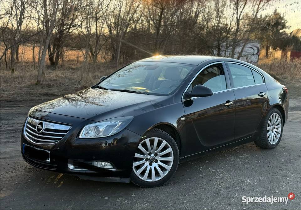 Opel Insignia 20XenonAlu18JasnySrodekZamiana komputer pokładowy Częstochowa