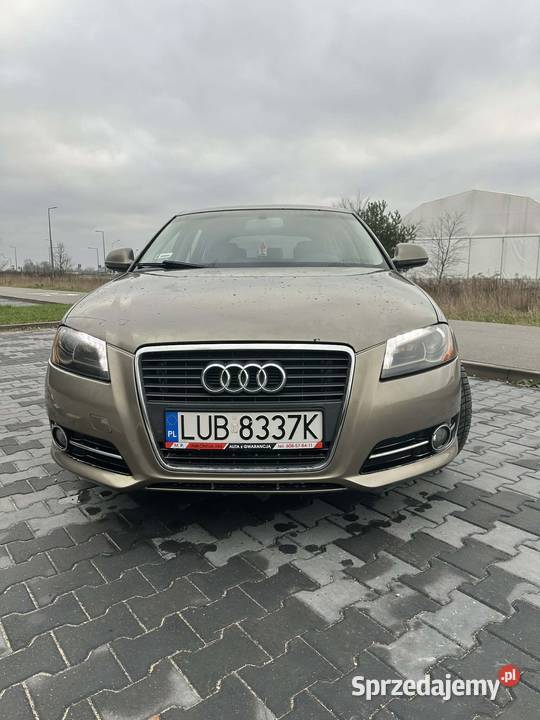 Audi a3 8P 19 TDI A3 Prażmów