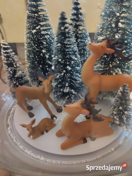 Magiczna Kula Śnieżna Krzesin