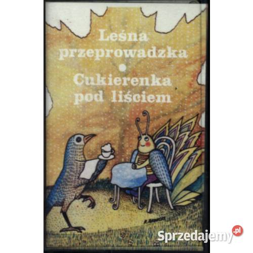 Leśna przeprowadzka Cukierenka pod liściem