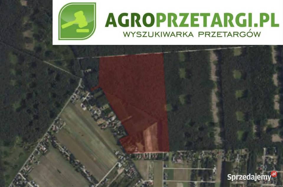 Dzierżawa 719 ha gruntu rolnego Wyszków sprzedam