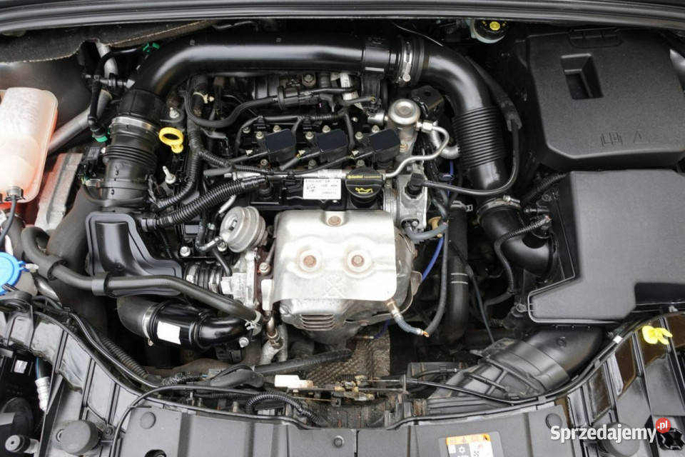 Ford Focus LIFT Navi 125 6 Biegów GWARANCJA światła przeciwmgielne Płońsk