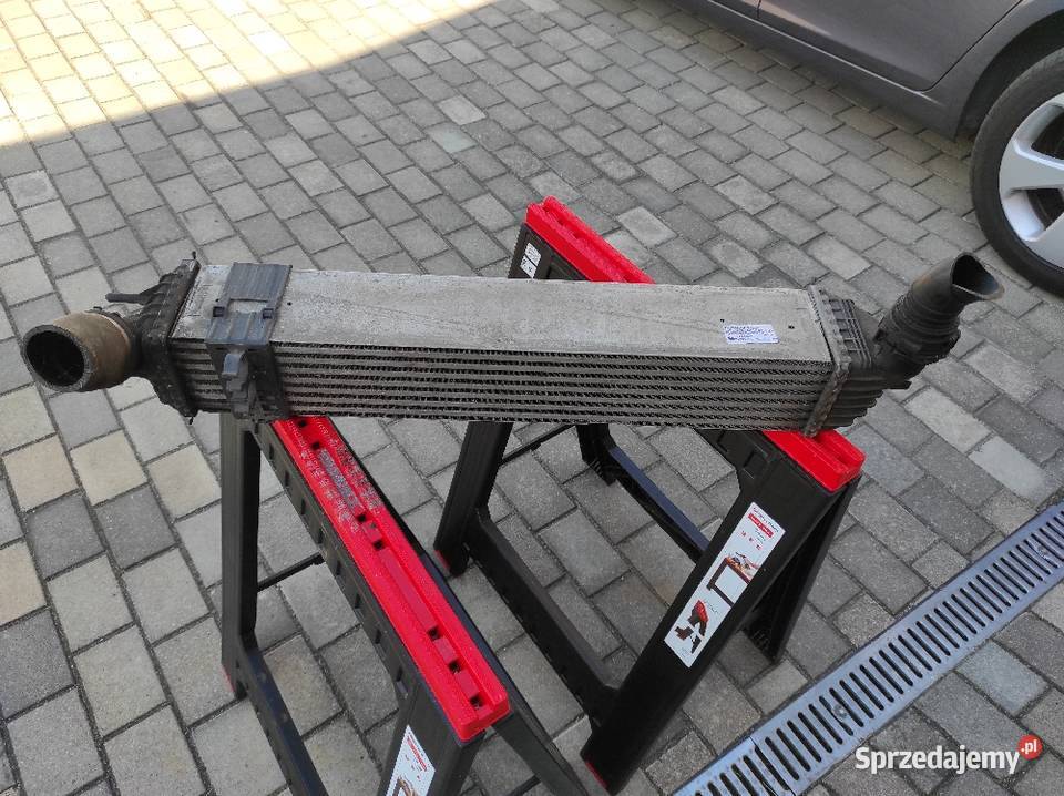 Intercooler chłodnica powietrza Renault Latitude osobowe Września sprzedam