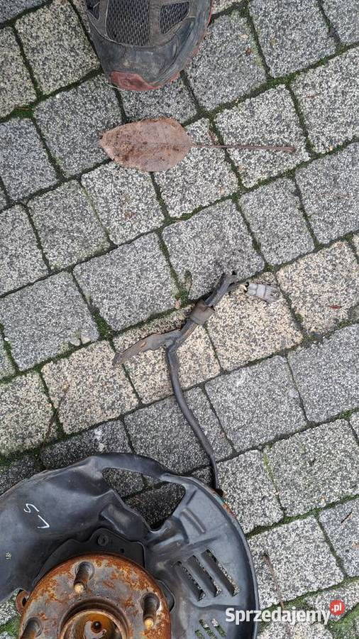 zwrotnica piasta tarcza kotwiczna Lexus LS400 osobowe