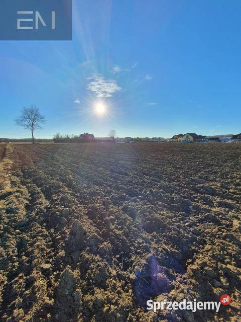 Grunt Dębowiec 3200m2 szambo
