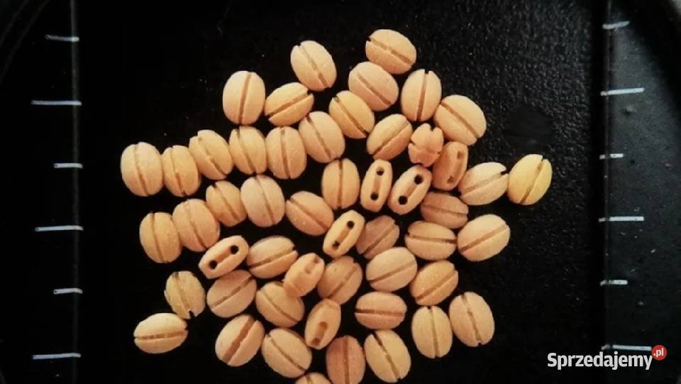 Bloczek drewniany 25 mm mazowieckie Ząbki