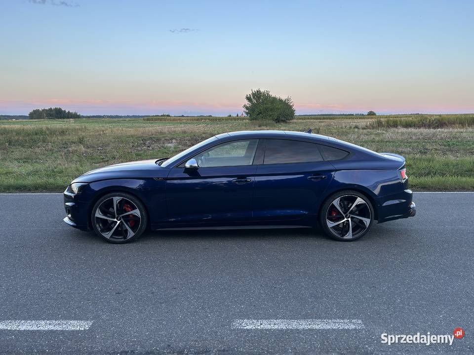 Audi S5 Europa warta 174000km opolskie Nysa