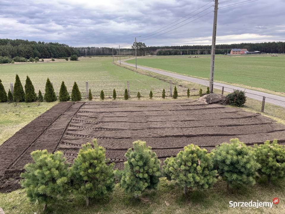 Usługi mini koparką koparko ładowarka wykopy Knieja