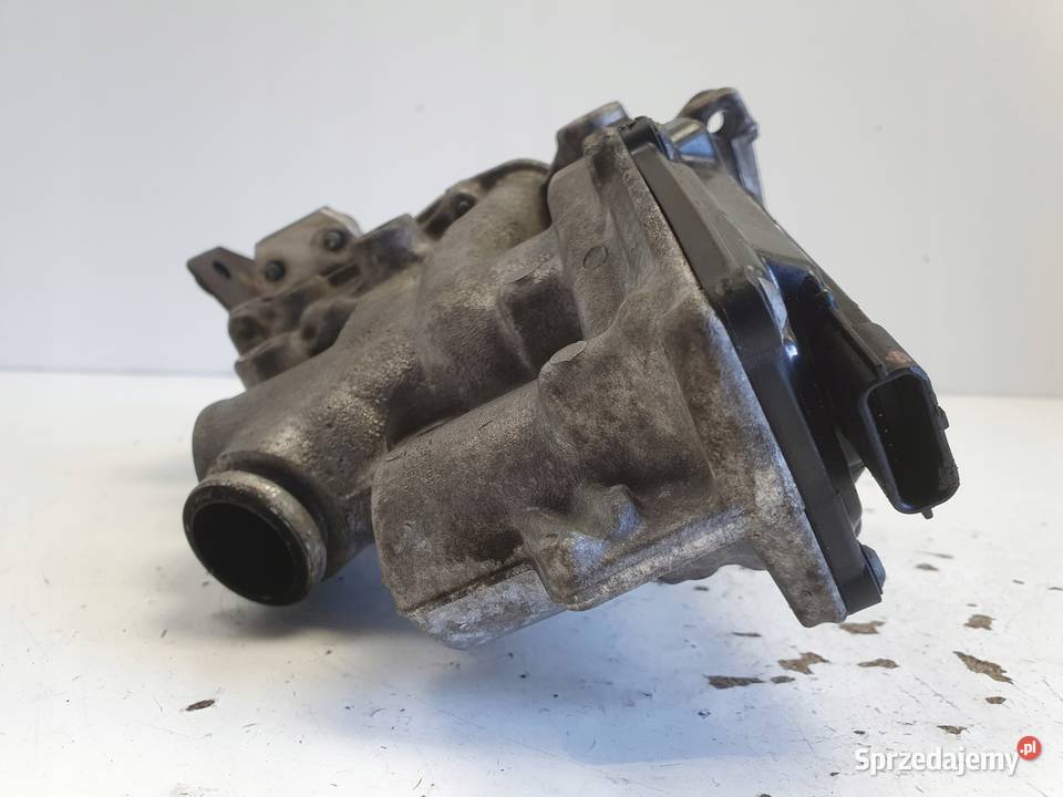 Renault Scenic III 19 DCI CHŁODNICA SPALIN egr osobowe Motoryzacja Rudka