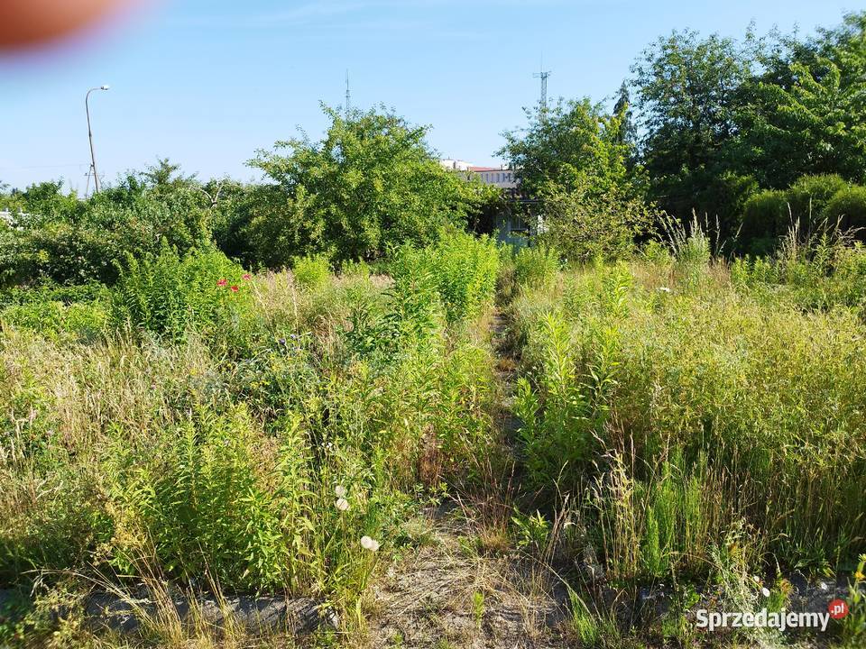 Działka ROD Polpharma