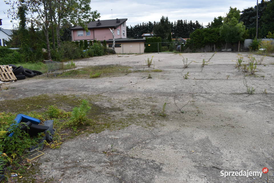 PLAC do wynajęcia