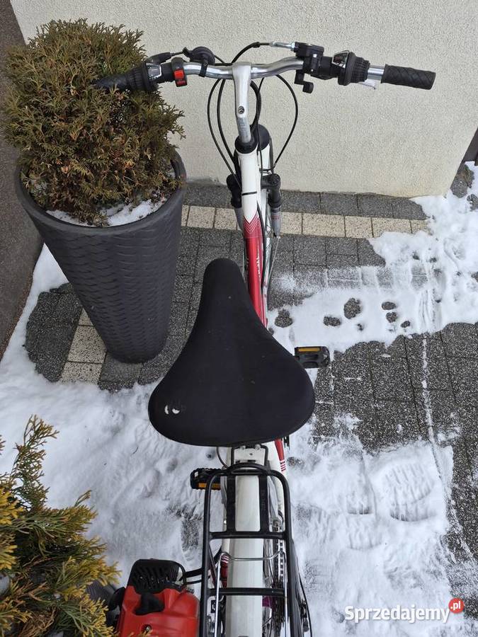 Rower z silnikiem sprzedam