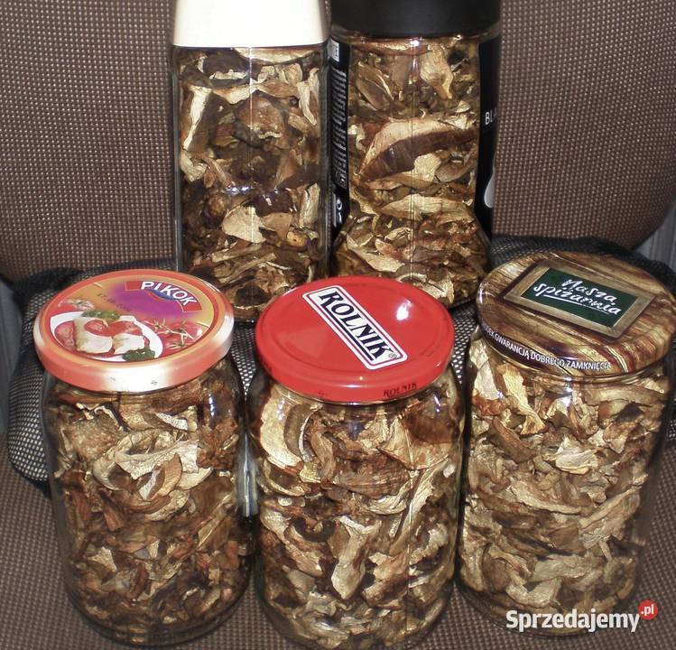 grzyby suszone borowik 2025 Skoczów