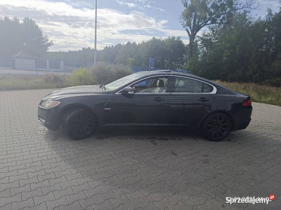 Jaguar xf XF Nasielsk
