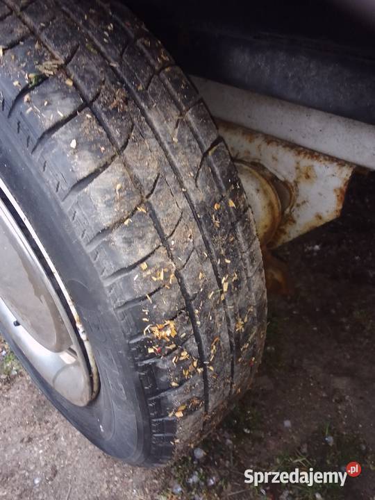 Przyczepka Strzelce Krajeńskie