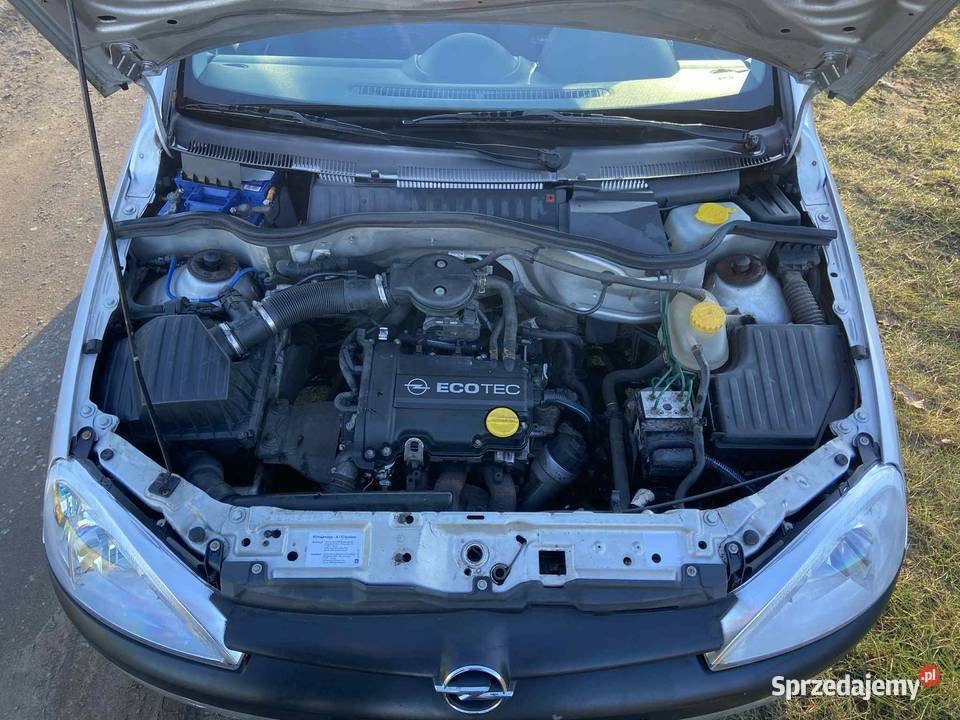 Opel Corsa 2001 195000km lubuskie Trzciel