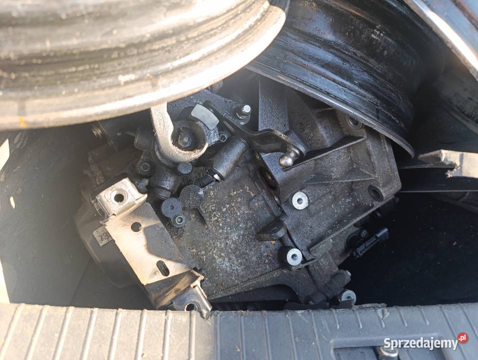 Seat Ibiza na części 75KM