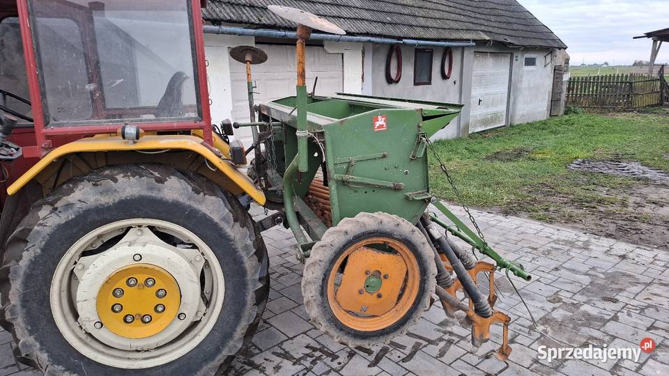 Amazone D7 Junior 25 mazowieckie Pęchratka Mała