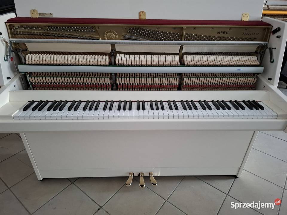 Pianino Yamaha B1 PWH stan fabryczny Gwarancja Instrumenty klawiszowe i MIDI