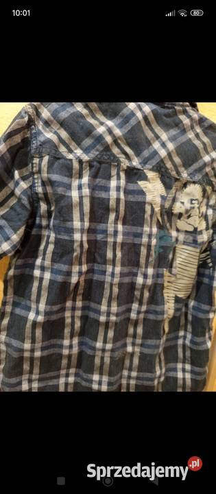 Markowa koszula chłopięca saltrock 78 lat lubelskie Zwierzyniec sprzedam