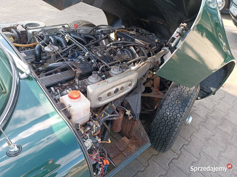 Jaguar etype serie 3 British Racing Green