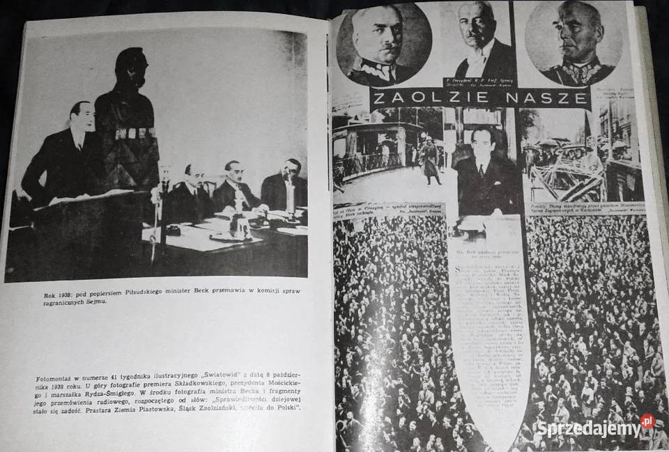 Pułkownik Beck Olgierd Terlecki Chełm sprzedam