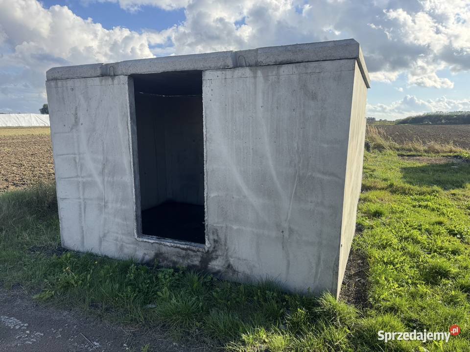 Piwnica ziemianka z płaskim dachem kurnik Pozostałe Wierzbica sprzedam