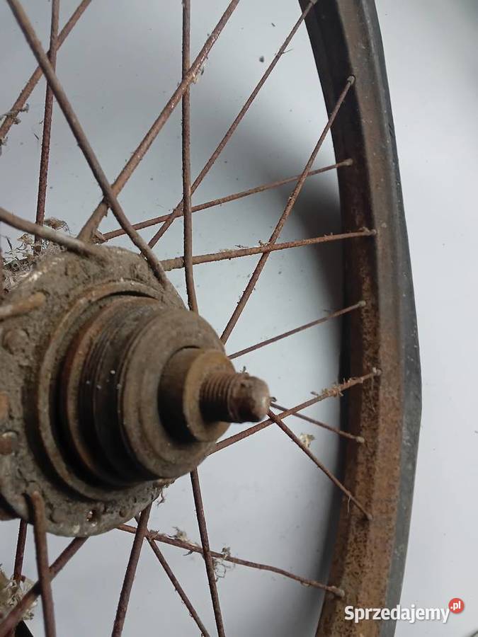 Torpedo DRP 1934 koło zabytkowy rower Milejewo