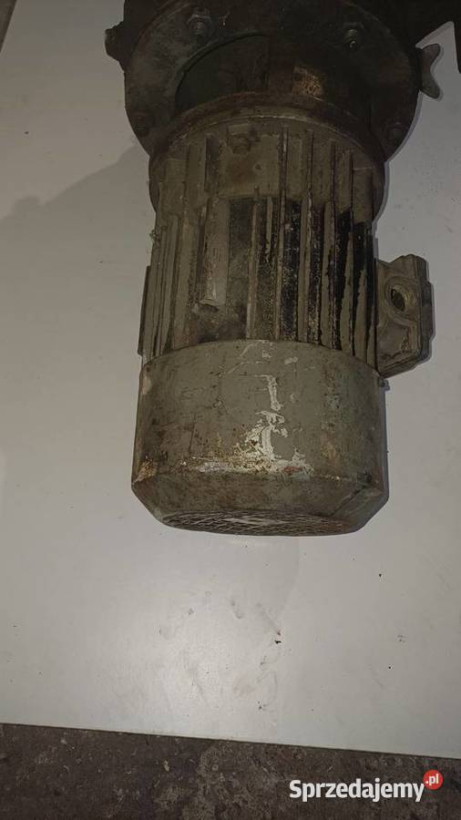 Pompa do wody z silnikiem Belno