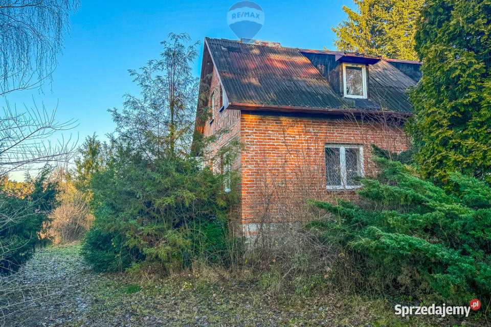 Dom z dużą działką lesie Kębliny g Zgierz Liczba pokoi 4