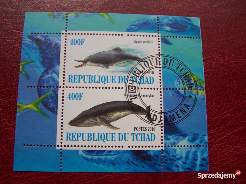Czad 2010 CTO Fauna Wieloryby śląskie Tychy